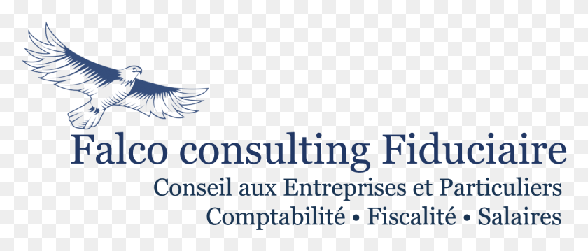 1311x503 Falco Consulting S Bankers South, Bird, Animal, Text HD PNG Download