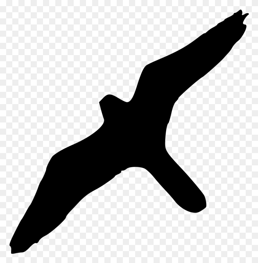 989x1014 Falco Peregrinus Silhouette Silhouette Faucon Pelerin, Gray, World Of Warcraft HD PNG Download