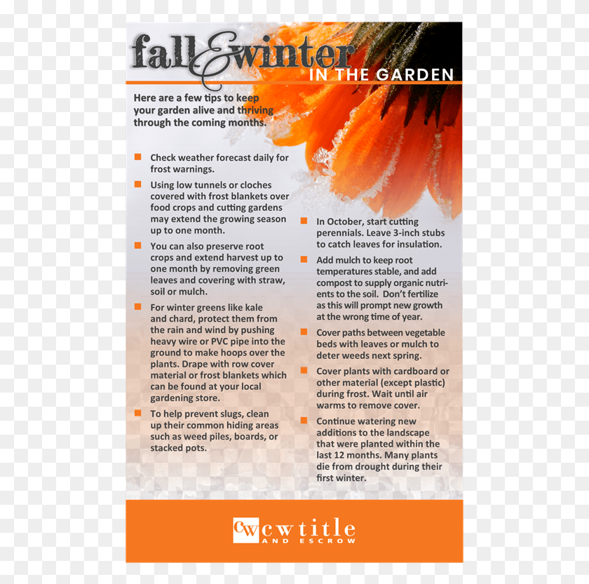 483x773 Fall Amp Winter In The Garden Brochure, Text, Menu, Paper HD PNG Download
