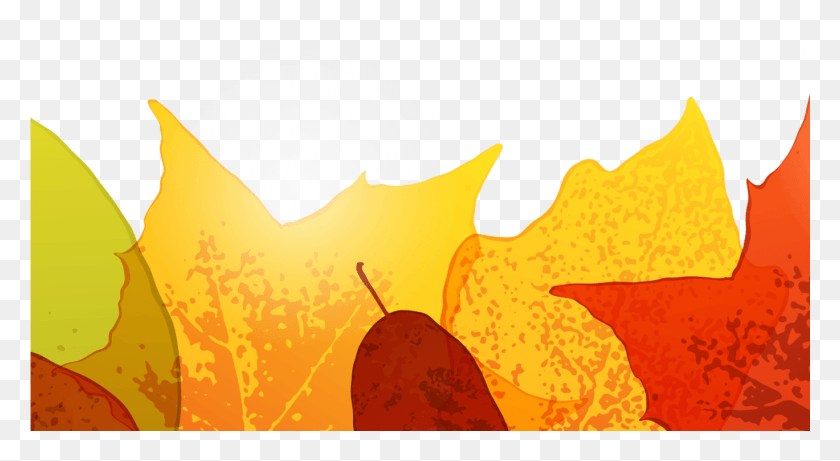 1369x704 Осенняя Граница Бесплатно На Mbtskoudsalg Иллюстрация, Растение, Лист, Еда Hd Png Скачать
