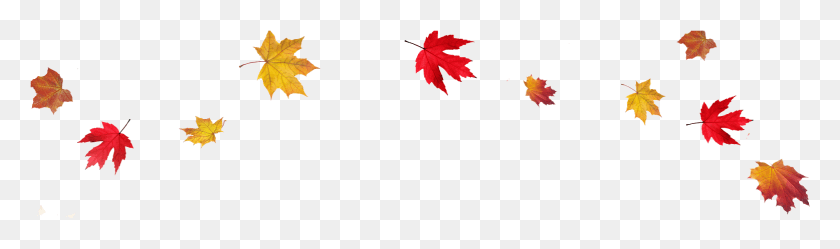 1556x378 Осенняя Граница Прозрачные Листья Mart Clip Art Осенние Листья Прозрачный Фон, Лист, Растение, Дерево Hd Png Скачать