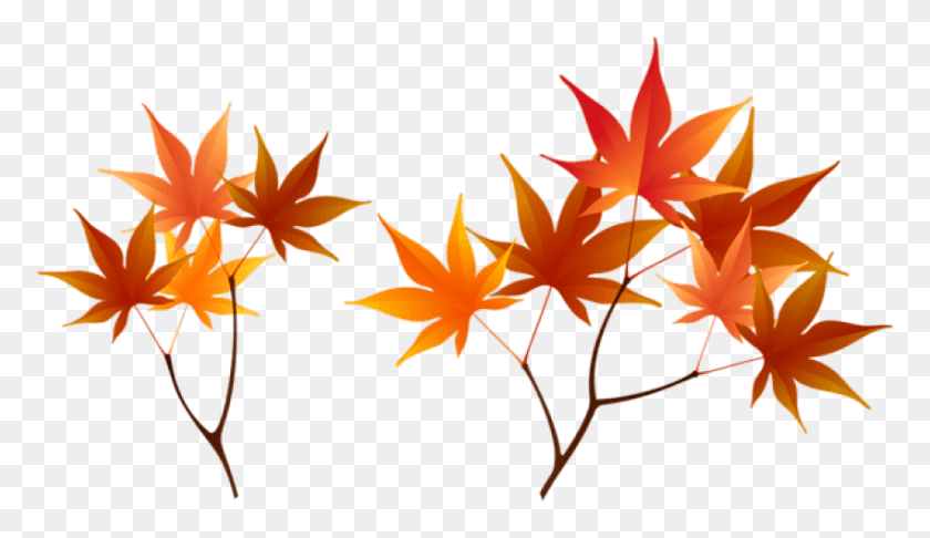 850x465 Fall Branches Clipart Photo Maple Leaf, Leaf, Plant, Tree HD PNG Download