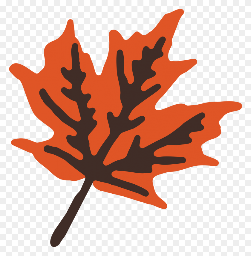 1257x1280 Осенний Кленовый Лист, Лист, Растение, Дерево Hd Png Скачать