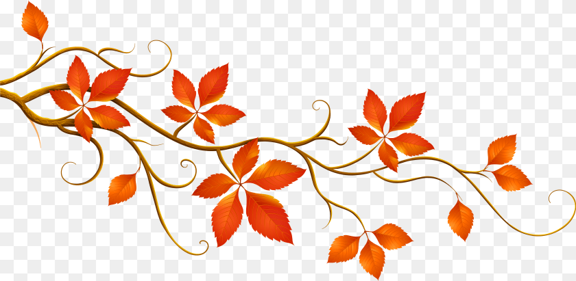 4821x2356 Fall Clip Art, Floral Design, Graphics, Pattern, Leaf PNG