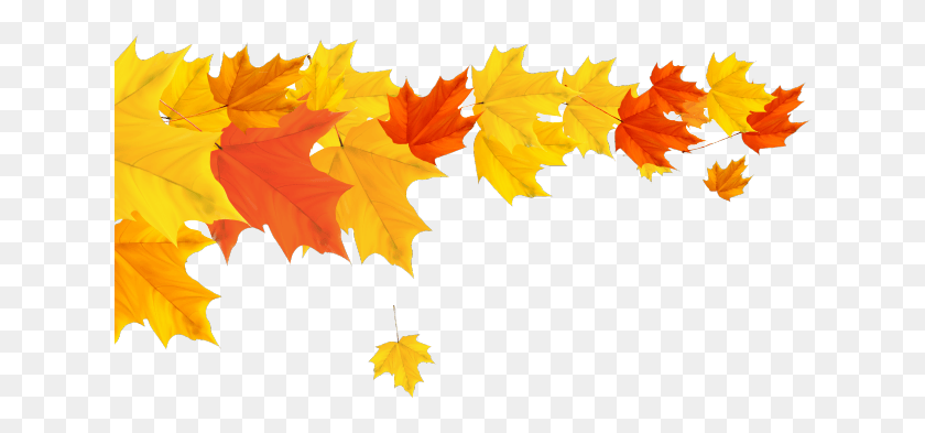 634x333 Fall Clipart Divider Fall Leaves Border, Leaf, Plant, Tree HD PNG Download