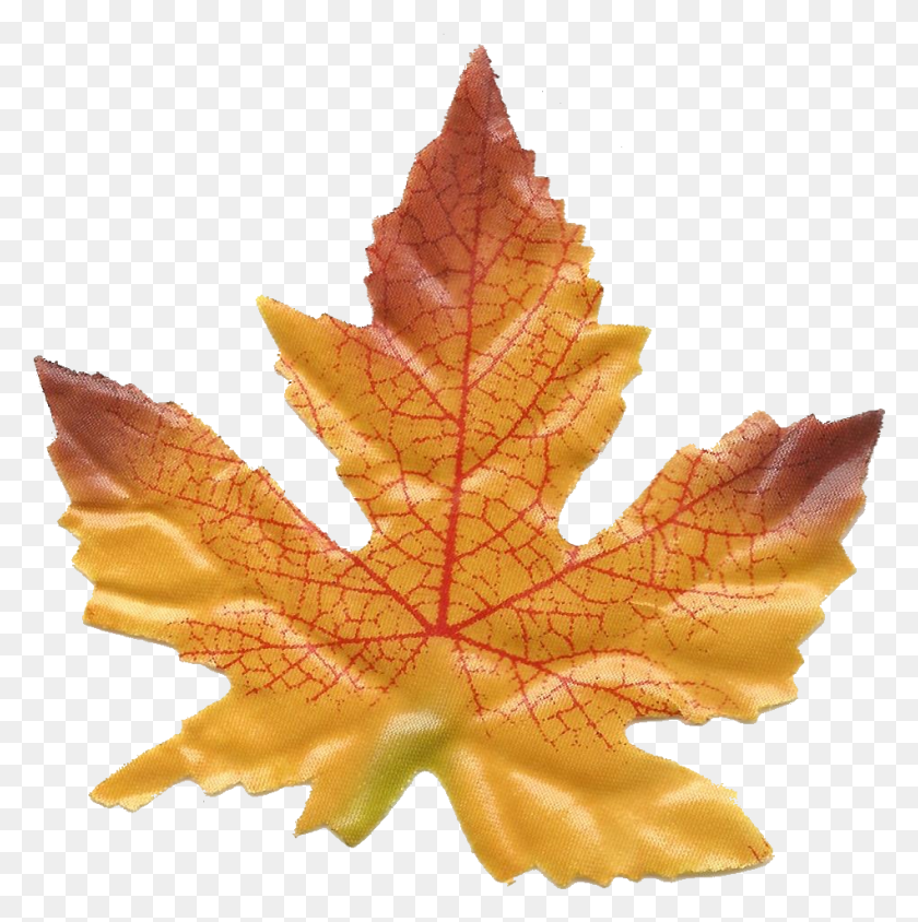 949x955 Осенний Клипарт Разделитель Кленовый Лист, Лист, Растение, Дерево Hd Png Скачать