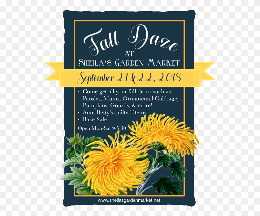 554x637 Descargar Png Fall Daze Are Septiembre 21 Amp22 English Marigold, Flyer, Poster, Paper Hd Png
