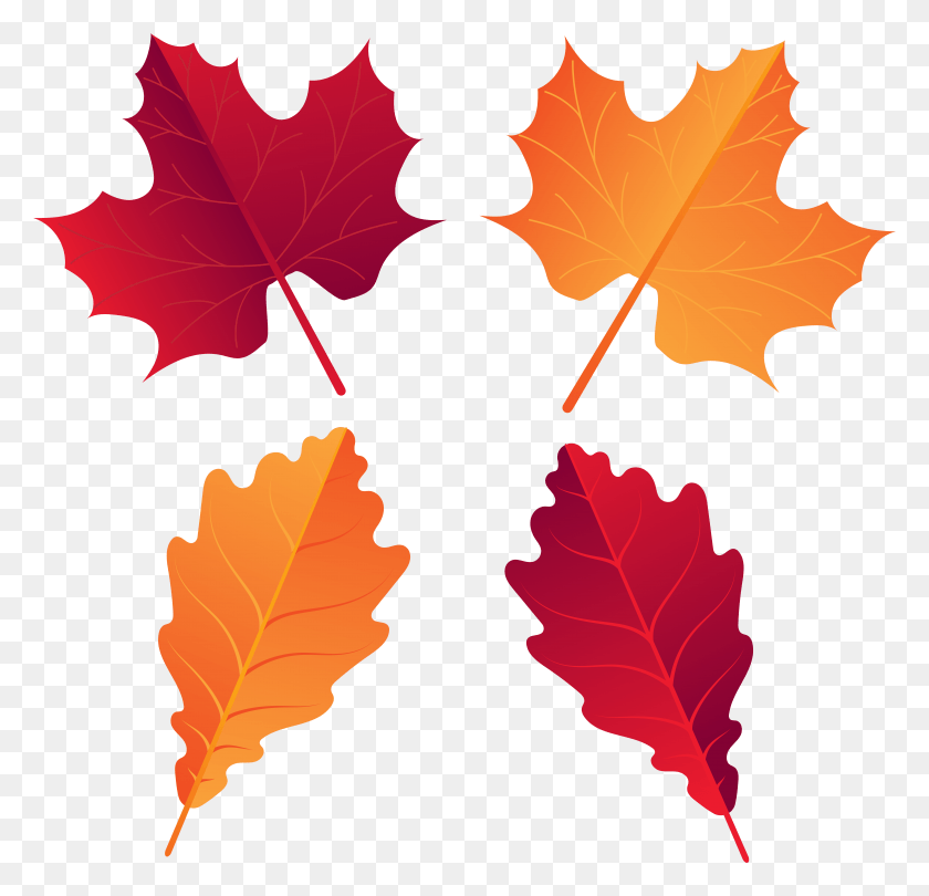 7934x7630 Осенние Декоративные Листья Картинки Изображения, Лист, Растение, Дерево Hd Png Скачать