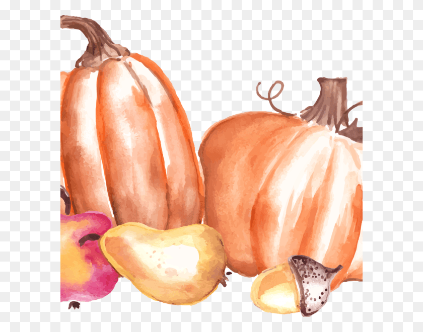 600x600 Fall Festival Gourd, Plant, Pumpkin, Vegetable HD PNG Download