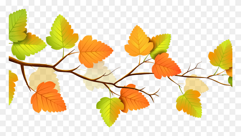 1081x574 Осенние Цветы Осенняя Ветка Дерева Картинки Бесплатно, Лист, Растение, Зеленый Hd Png Скачать