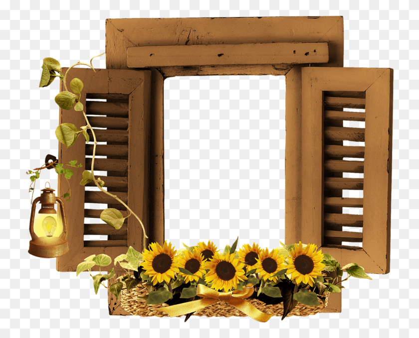 740x619 Fall Frame Beautiful Family Photo Frames, Plant, Flower, Blossom HD PNG Download