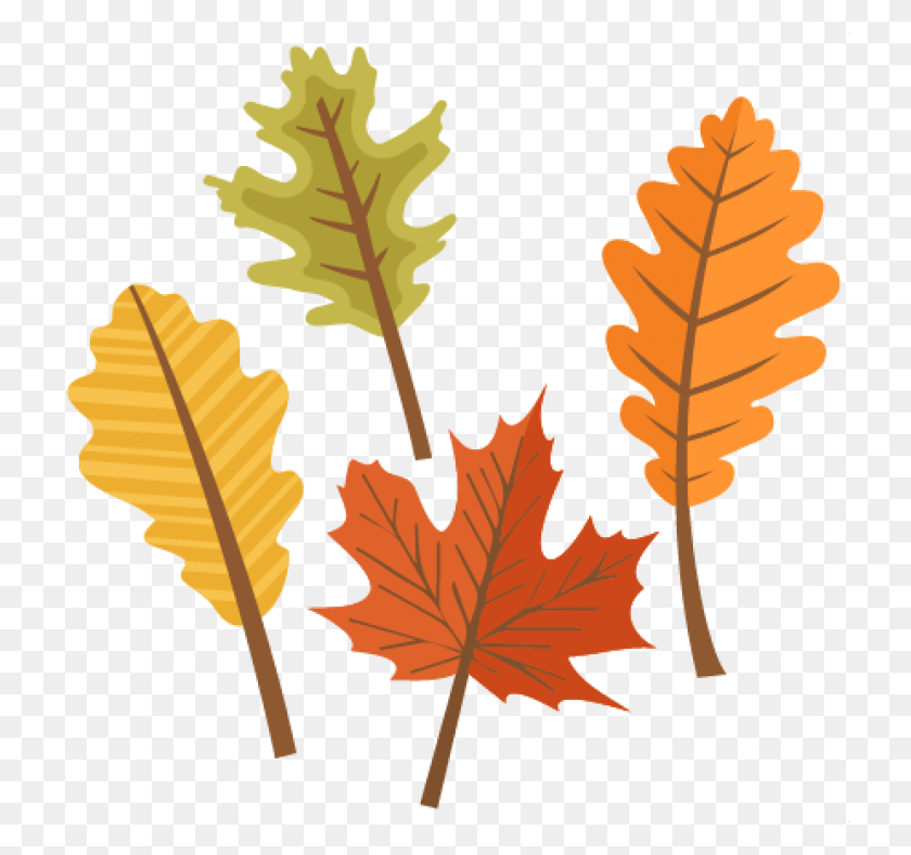 728x728 Fall Leaves Clip Art Cute Autumn Leaf Clipart, Plant, Tree, Grain HD PNG Download