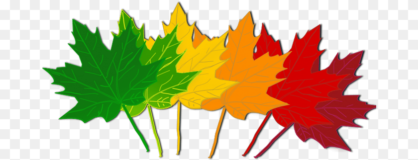 672x322 Fall Leaves Clip Art September Fall Leaves Clip Art, Leaf, Plant, Tree, Maple Sticker PNG
