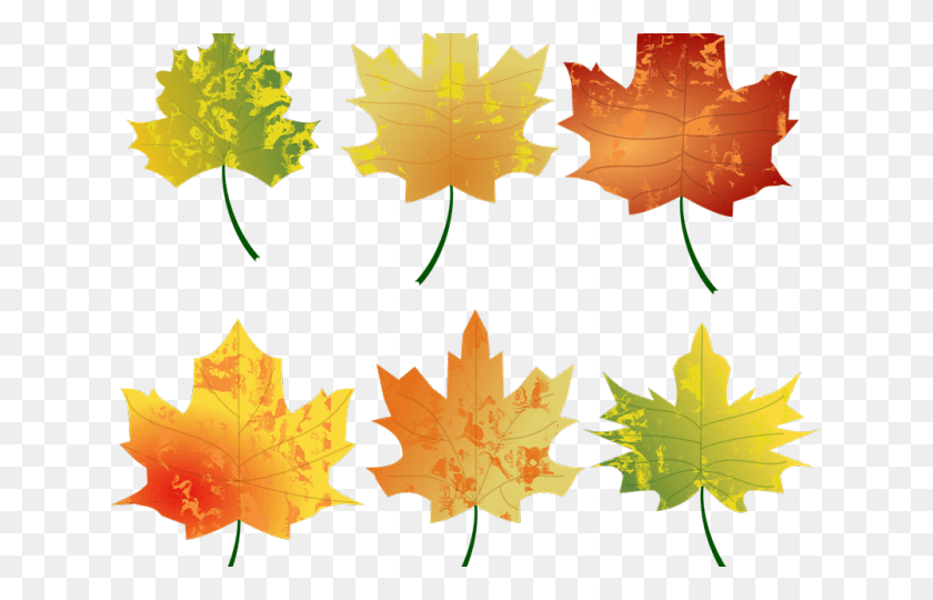 640x480 Осенние Листья Графические Осенние Листья Svg Free, Лист, Растение, Дерево Hd Png Скачать