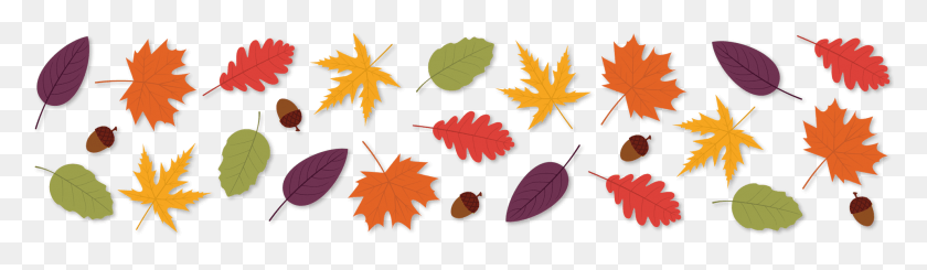 1976x471 Осенние Листья Горизонтальные, Лист, Растение, Дерево Hd Png Скачать