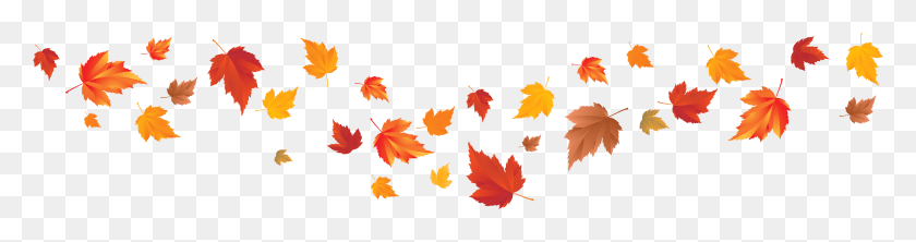 4465x929 Fall Leaves Image Gallery Yopriceville High Transparent Fall Leaves Banner Clip Art, Leaf, Plant, Tree HD PNG Download