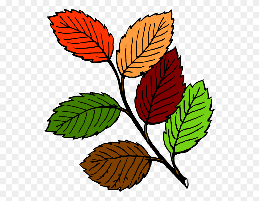 552x594 Fall Leaves Svg Clip Arts 552 X 594 Px, Leaf, Plant, Veins HD PNG Download