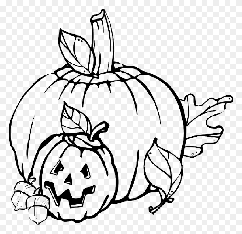 800x770 Fall Pumpkin Outline Drawing Jack Leaf Pumpkin Clip Art, Plant, Vegetable, Food HD PNG Download