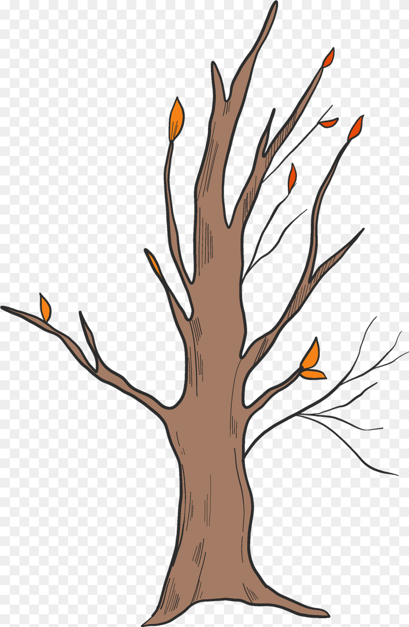 1255x1921 Fall Tree Clipart Clip Art, Plant, Fire, Flame Transparent PNG