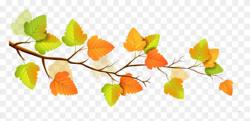 4784x2144 Fall Tree Clipartsr Branch Clipart, Leaf, Plant, Veins HD PNG Download