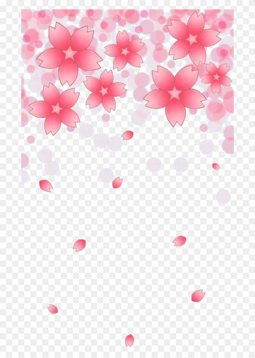 701x1121 Falling Cherry Blossoms Cherry Blossom Petals, Paper, Confetti, Flower HD PNG Download