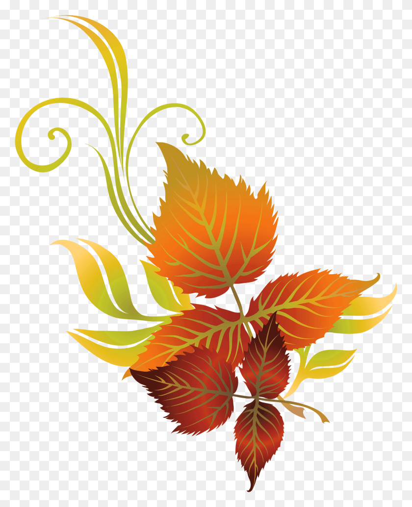 2534x3167 Falling Clipart Leaves Transparent Autumn Leaf Clip Art, Graphics, Plant HD PNG Download