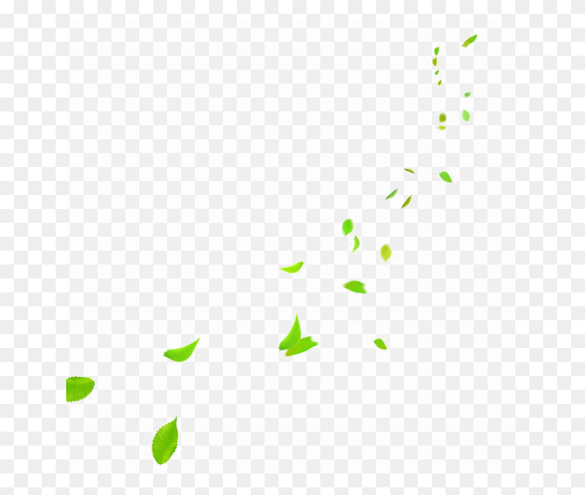 650x651 Falling Green Leaves Photo Insect, Confetti, Paper Descargar Hd Png