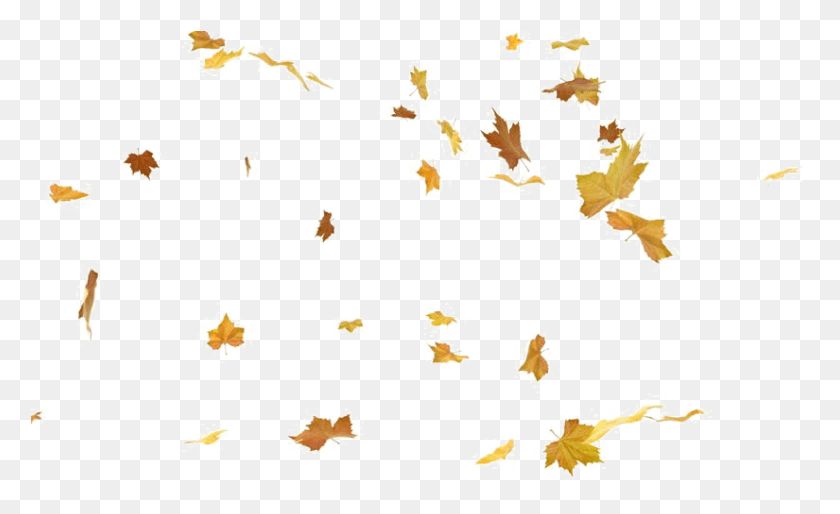 825x481 Falling Leaf Photos Free Leaf Animated, Text, Jigsaw Puzzle, Game HD PNG Download