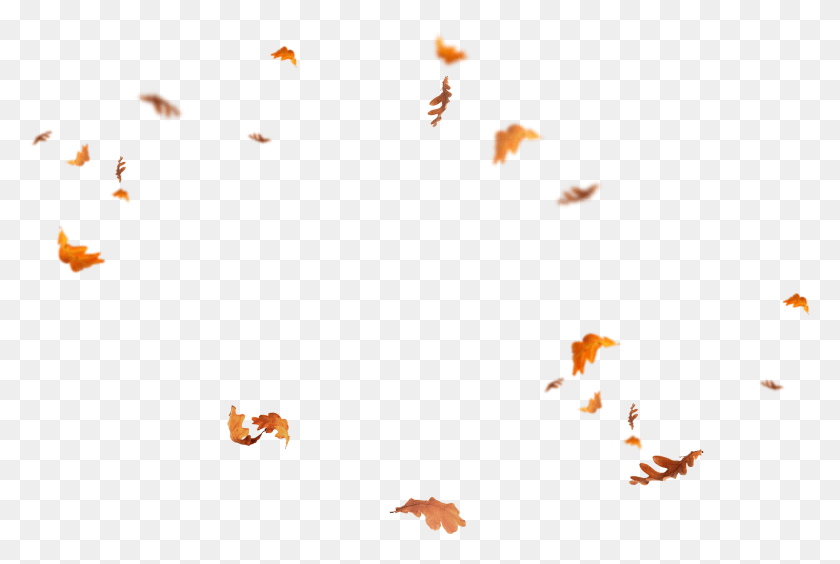 3228x2089 Falling Leaves Falling Leaves Leaf Overlay, Text, Paper, Graphics HD PNG Download