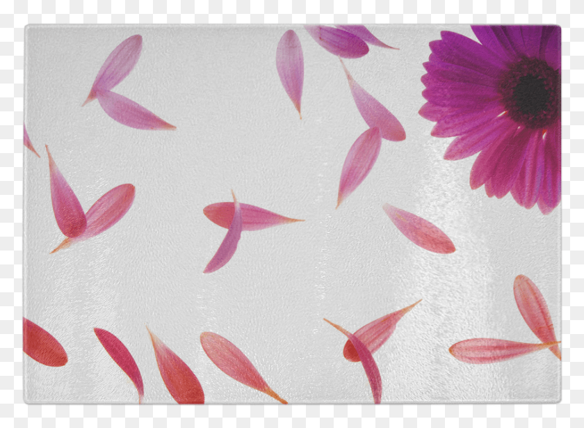845x602 Falling Petals Glass Cutting Board Flower Petals Blowing In The Wind, Paper, Floral Design, Pattern HD PNG Download