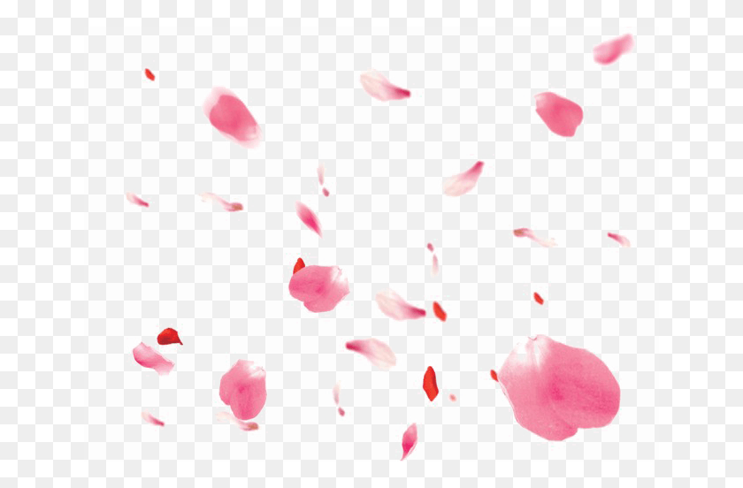 650x492 Падающие Лепестки Прозрачное Изображение Иллюстрация, Лепесток, Цветок, Растение Hd Png Скачать