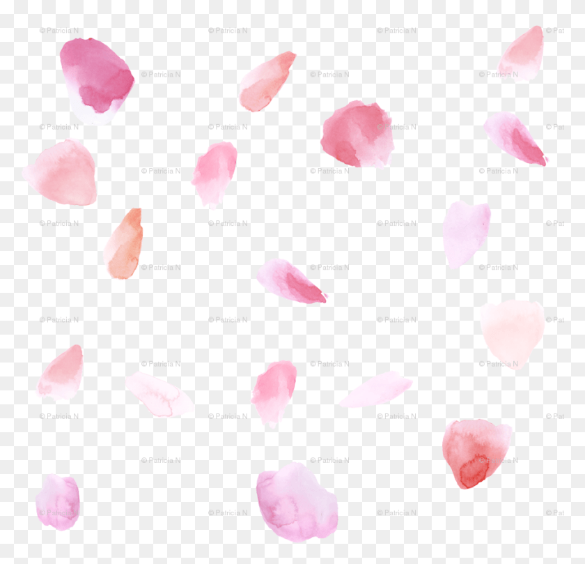 901x866 Falling Pink Petals Pink Rose Petals Transparent, Petal, Flower, Plant HD PNG Download