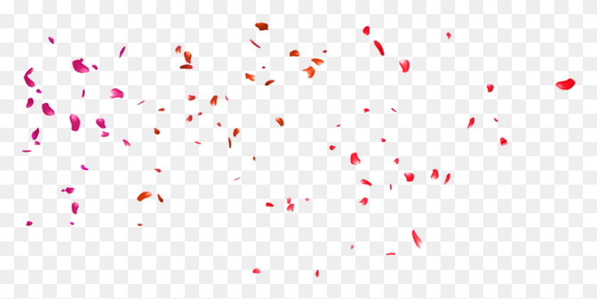 906x420 Падающие Лепестки Роз Фоновое Изображение Прозрачная Падающая Роза, Конфетти, Бумага, Рождественская Елка Png Скачать