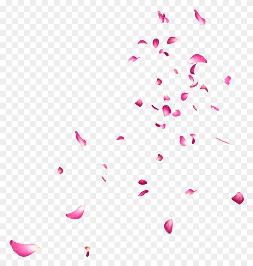 914x963 Падающие Лепестки Роз Картина Йесон, Конфетти, Бумага, Новогодняя Елка Hd Png Скачать
