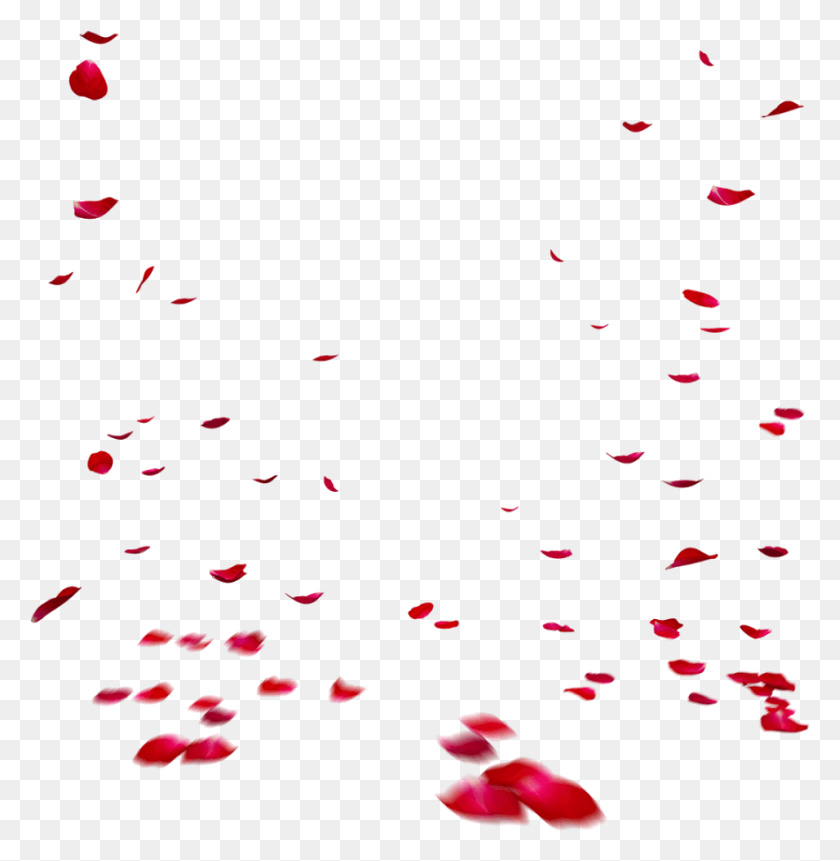 883x907 Falling Rose Petals Transparent Images Illustration, Paper, Confetti HD PNG Download