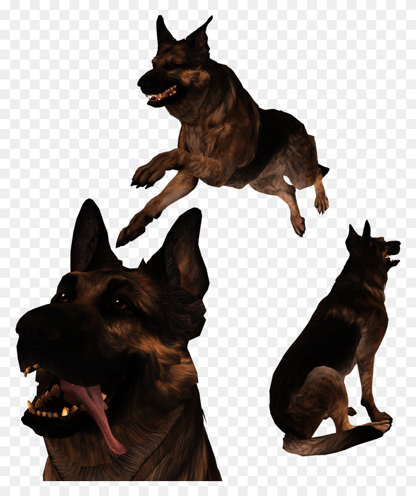1493x1801 Fallout 4 Dog Fallout 4 Dogmeat, German Shepherd, Pet, Canine HD PNG Download