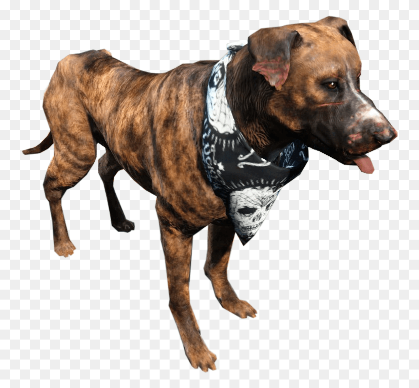 756x717 Fallout 4 Raider Dog, Pet, Canine, Animal HD PNG Download