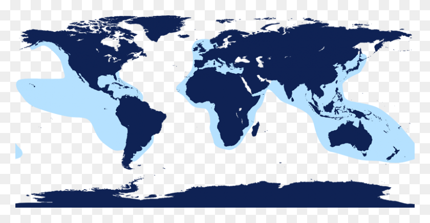 800x386 Карта Мира С Антарктидой, Ареал Обитания Ложных Косаток, Карта, Диаграмма, Участок Hd Png Скачать