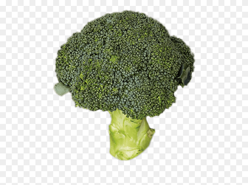 487x567 Family Korean Beef Bulgogi Broccoli, Vegetable, Plant, Food HD PNG Download