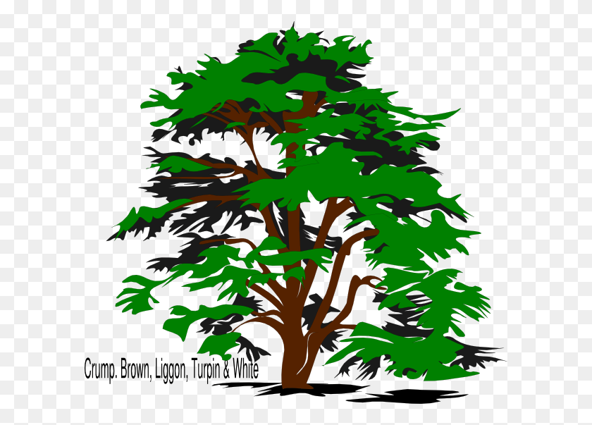 600x543 Дерево Воссоединения Семьи Прозрачное Дерево Воссоединения Семьи Png Скачать