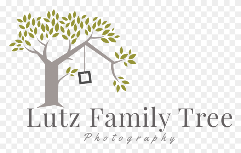 876x532 Family Tree, Poster, Advertisement, Plant HD PNG Download