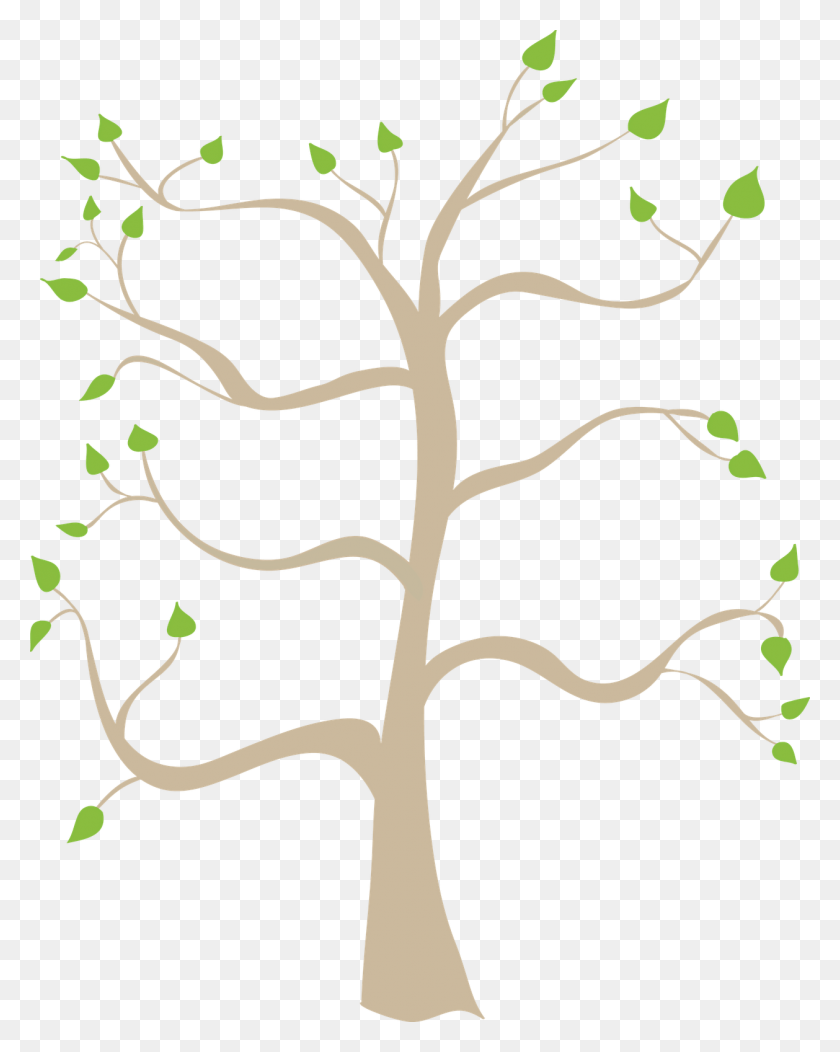 1258x1600 Family Tree Graphic Clip Art Family Tree Background Clipart, Plant, Tree, Tree Trunk HD PNG Download