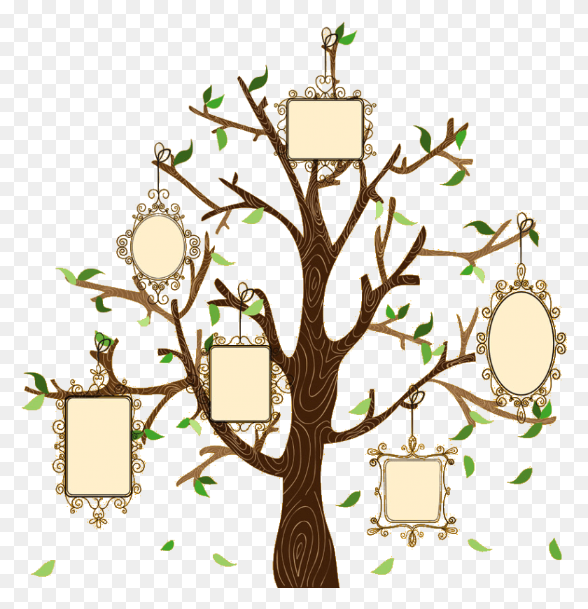 820x852 Family Tree Illustration Creative Euclidean Vector Family Trees Vectors, Tree, Plant, Chandelier HD PNG Download