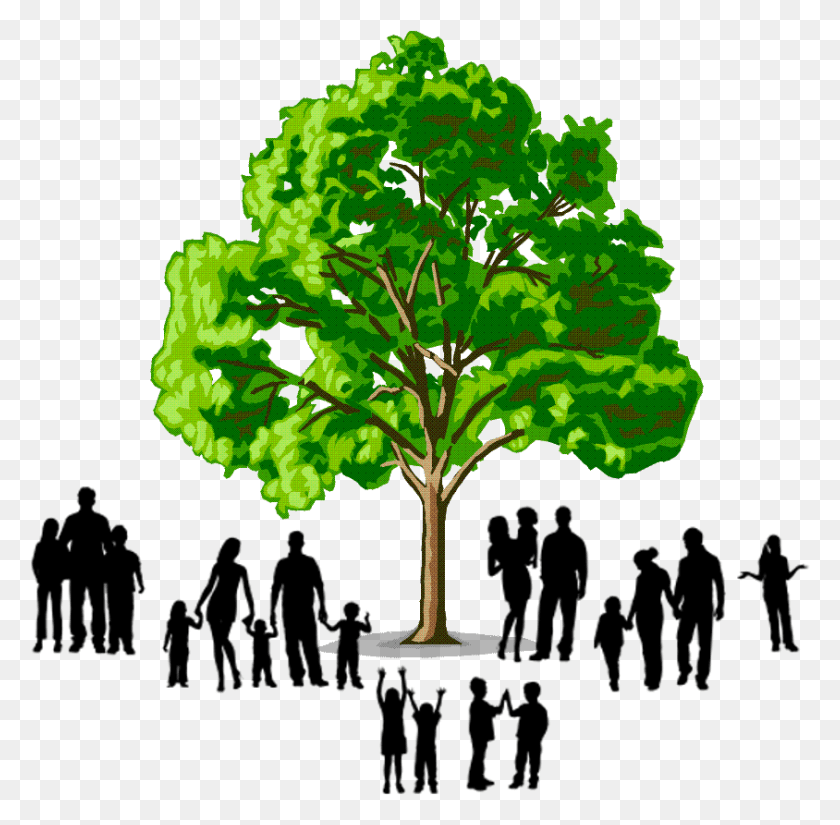 844x828 Family Tree Logo, Plant, Tree, Green HD PNG Download