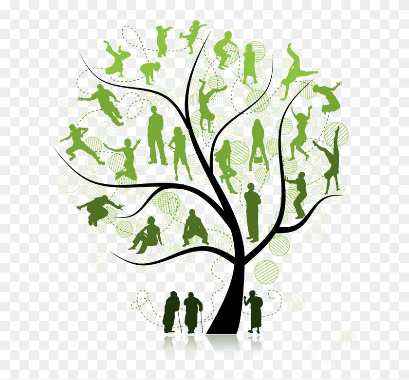 636x721 Family Tree Pic Family Tree Reunion Logo, Graphics, Floral Design HD PNG Download