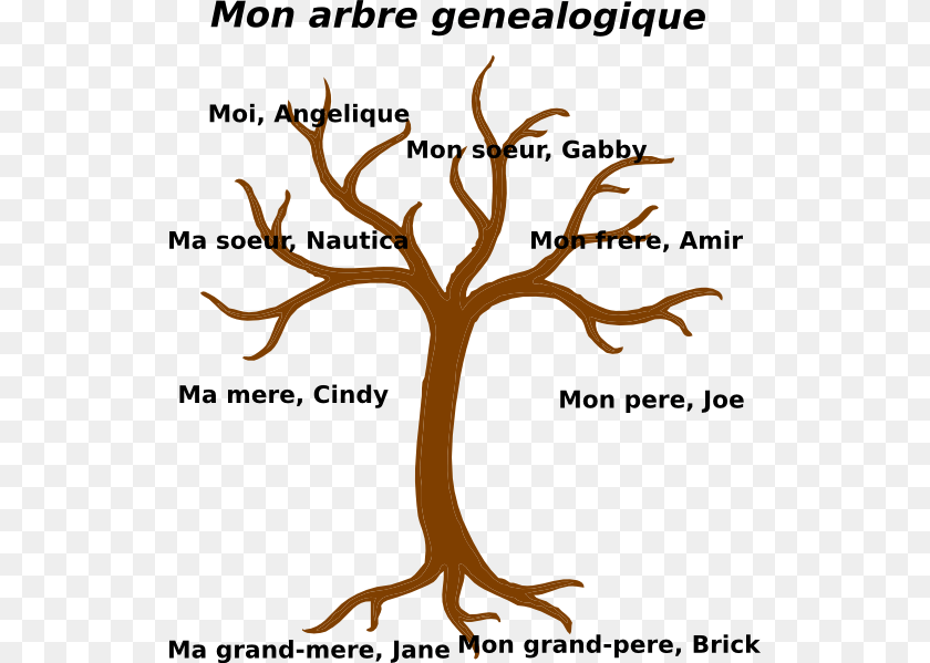 Family Tree Svg Brown Tree Without Leaves, Plant, Animal, Kangaroo, Mammal Sticker PNG