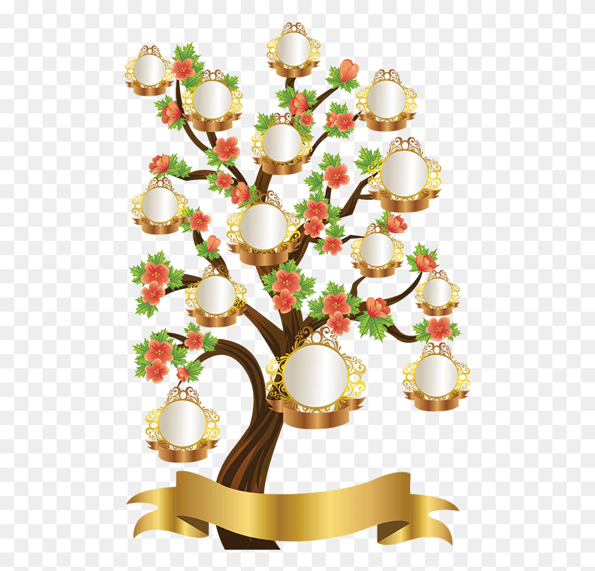 491x746 Family Tree Transparent Family Tree Sample Design, Graphics, Floral Design HD PNG Download