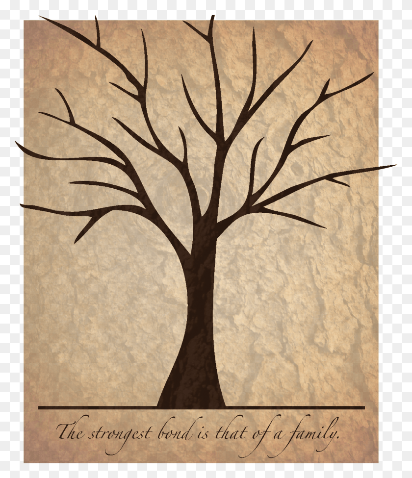 1242x1458 Family Tree Tree For Scrapbook, Plant, Modern Art HD PNG Download