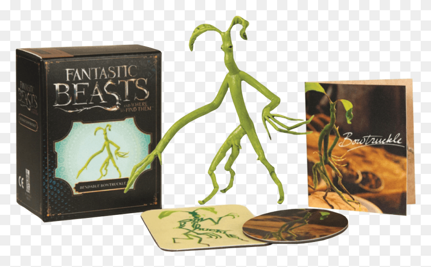 1028x609 Fantastic Beasts And Where To Find Them Fantastic Beasts And Where To Find Them Bendable Bowtruckle, Text, Jar, Animal HD PNG Download
