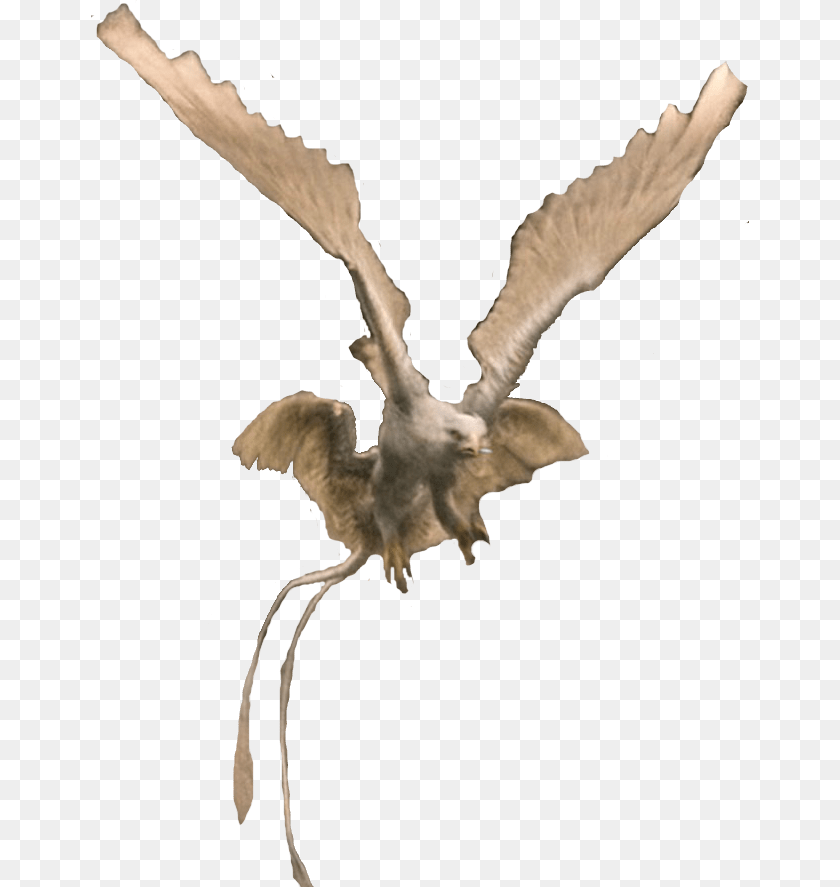 658x887 Fantastic Beasts Creature Thunderbird, Animal, Bird, Flying, Person Clipart PNG